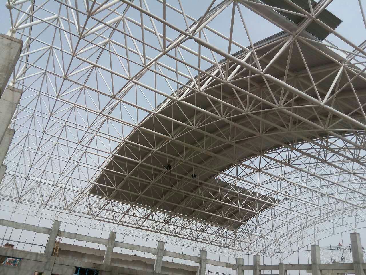 津南一汽网架